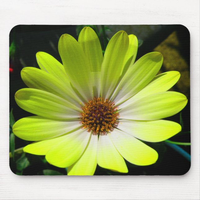 African Daisy Fluorescent Yellow Mousepad (Vorne)