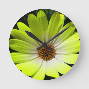 African Daisy Fluorescent Yellow Wall Clock Runde Wanduhr
