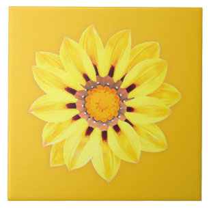 African Daisy / Gazania - Mustard Gold Fliese