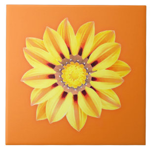 African Daisy / Gazania - Orange und Gelb Fliese