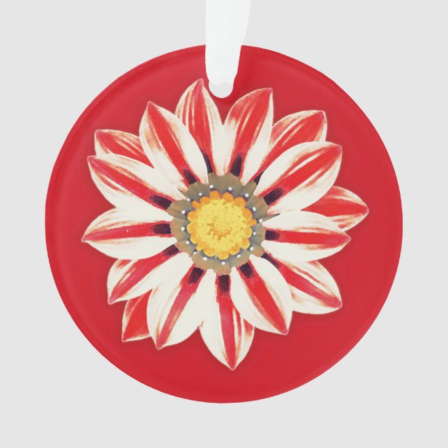African Daisy / Gazania - Rot und Weiß gestreift Ornament (Vorderseite)