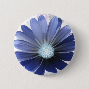 African Daisy Glows Blue Button