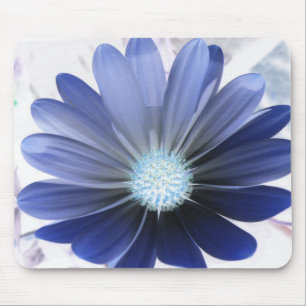African Daisy Glows Blue Mousepad
