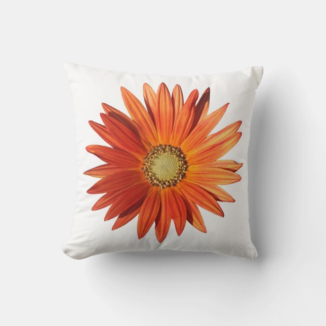African Daisy Kissen (Vorderseite)
