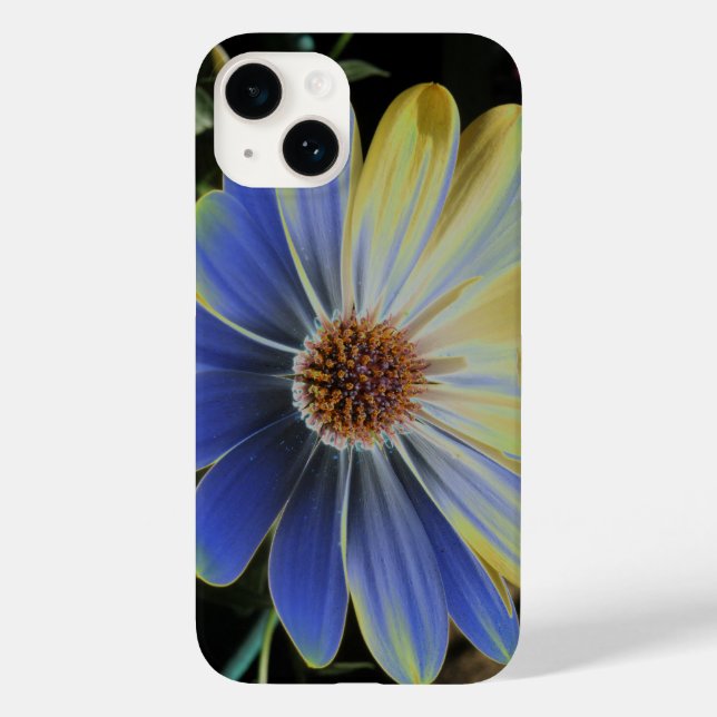 African Daisy Lapis und Gold Case-Mate iPhone Hülle (Rückseite)