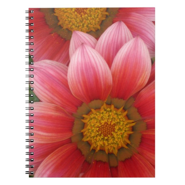 African Daisy Notizblock (Vorderseite)