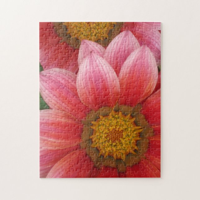 African Daisy Puzzle (Vertikal)