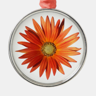 African Daisy Silbernes Ornament