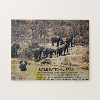 African Elephant Jigsaw Puzzle