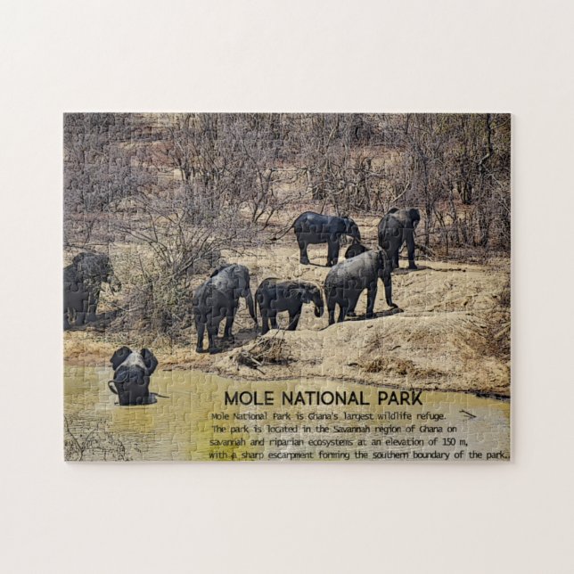 African Elephant Jigsaw Puzzle (Horizontal)