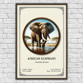 African Elephant Zoology Series Poster