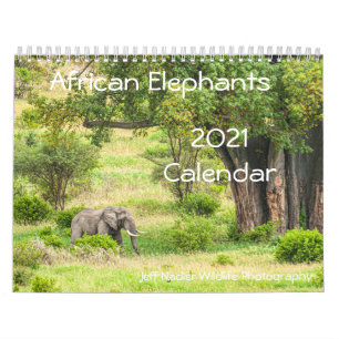 African Elephants 2021 Wall Calendar Kalender