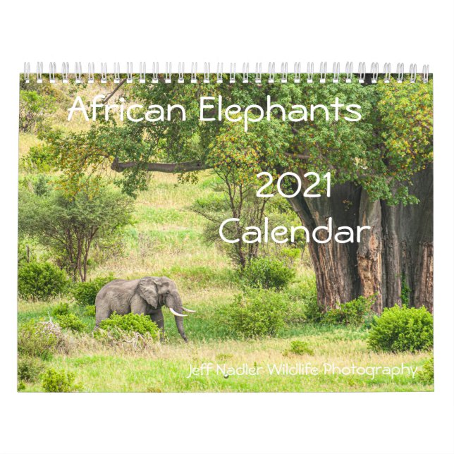 African Elephants 2021 Wall Calendar Kalender (Titelbild)