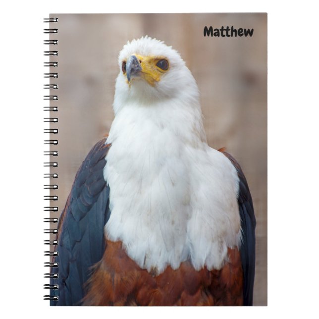 African Fish Eagle Spiral Notebook Notizblock (Vorderseite)