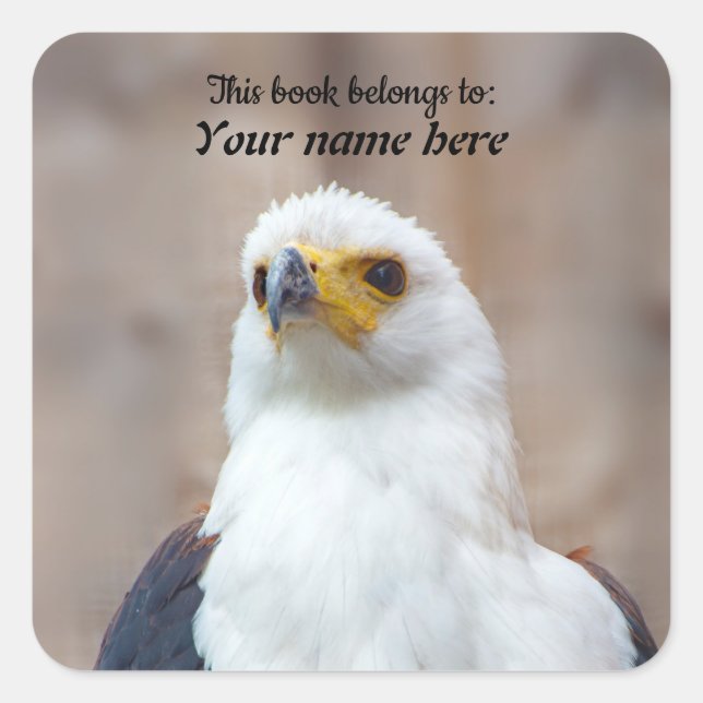 African Fish Eagle Sticker (Vorderseite)