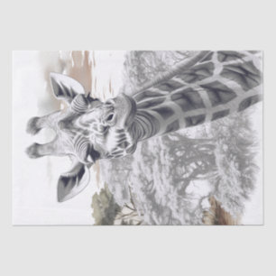 African Giraffe Pencil Sketch Seidenpapier