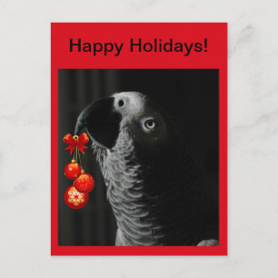 African Gray Happy Holidays Weihnachten Postcard