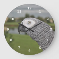 African Gray Lakeside