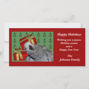 African Gray Parrot Animal Christmas Card Feiertagskarte