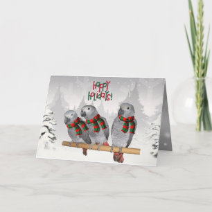African Gray Parrot Baby Christmas Karte