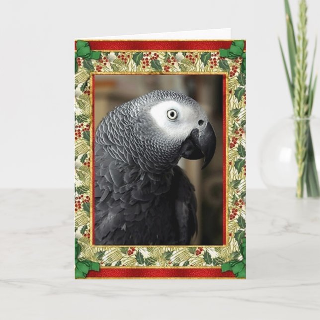 African Gray Parrot Christmas Card Feiertagskarte (Vorderseite)