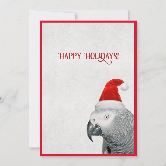 African Gray Parrot Flat Holiday Card Feiertagskarte (Vorderseite)