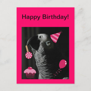 African Gray Parrot Happy Birthday Postcard Postkarte