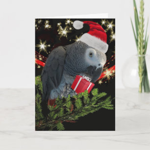 African Gray Parrot Holiday Card Karte