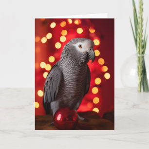 African Gray Parrot Holiday Cards Karte