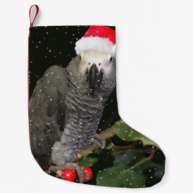 African Gray Parrot Holiday Strumpf Kleiner Weihnachtsstrumpf (Vorderseite)