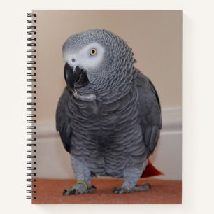 African Gray Parrot Journal Notizbuch