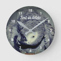 African Gray Parrot Niedlich Bird 2 Personalisiert