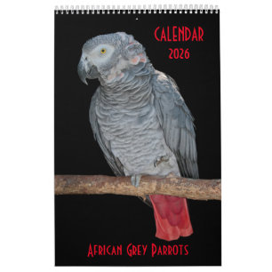 African Gray Parrots Calendar Kalender