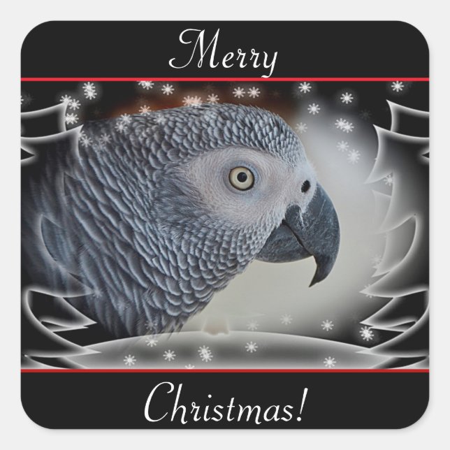 African Gray Snowy Christmas Quadratischer Aufkleber (Vorderseite)