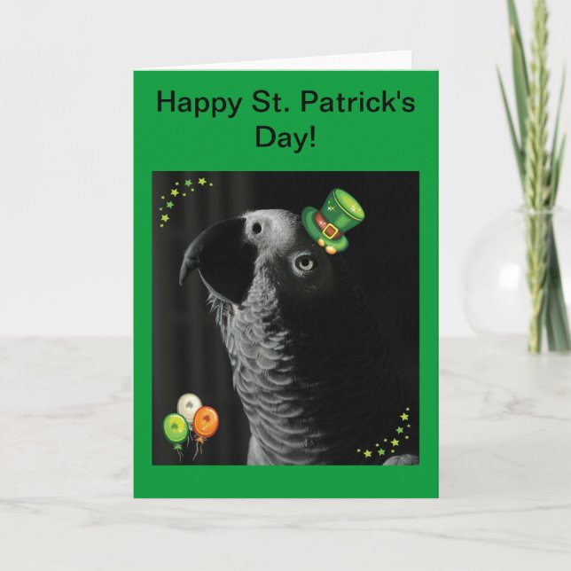 African Grey Happy St. Patrick's Day Grußkarte Karte (Vorderseite)