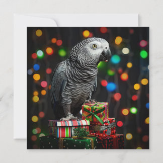 African Grey on Gifts — Festive Greeting Card Feiertagskarte
