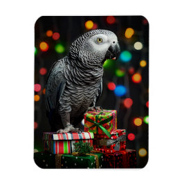 African Grey on Gifts — Festive Greeting Card Magnet