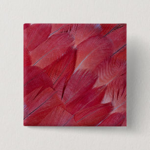 African Grey Papageienfeder-Design Button