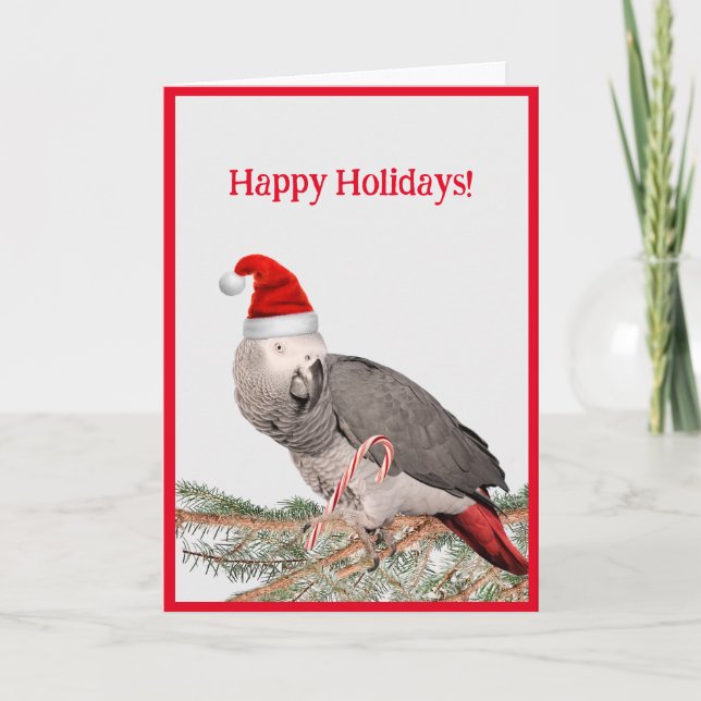 African Grey Parrot Holiday Grußkarte Karte (Vorderseite)