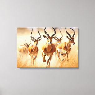 African Impala Leinwand Art