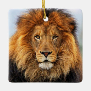 African Lion 1 Keramikornament