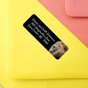 African Lion Animal Address Labels