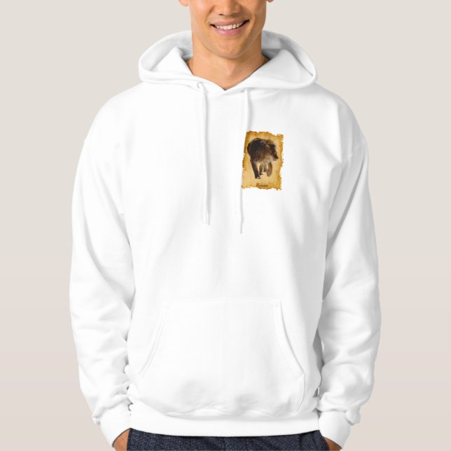 African Lion Beautiful Big Cat Wildlife Hoodie (Vorderseite)
