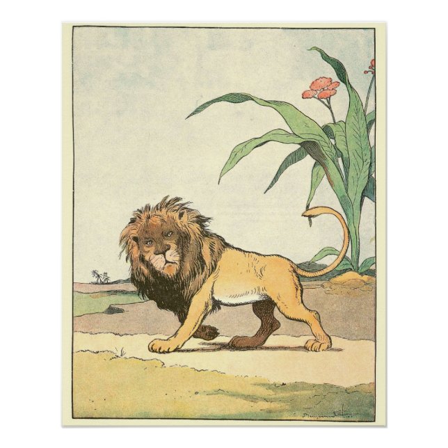 African Lion Children's Storybook Perfect Poster (Vorderseite)