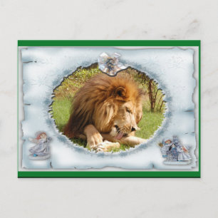 African Lion Christmas Postcard Feiertagspostkarte
