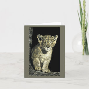 African Lion Cub Card - "Little King" Karte