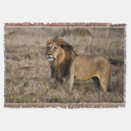 African Lion Throw Blanket Decke
