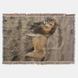 African Lion Throw Blanket Decke