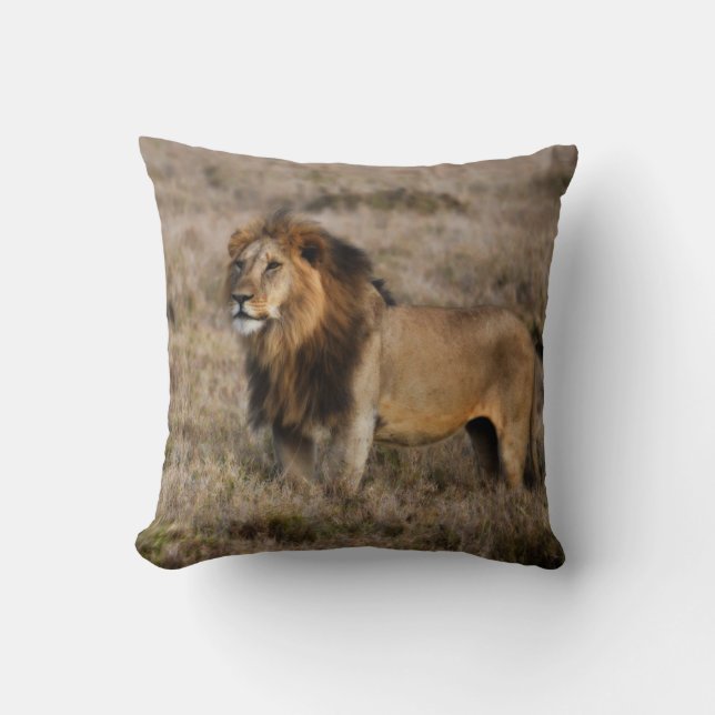 African Lion Throw Pillow Kissen (Vorderseite)