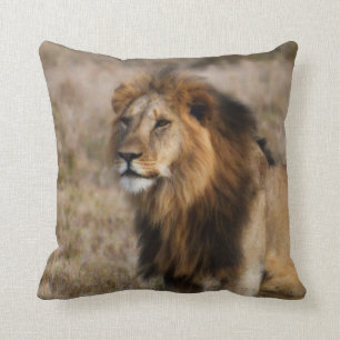 African Lion Throw Pillow Kissen